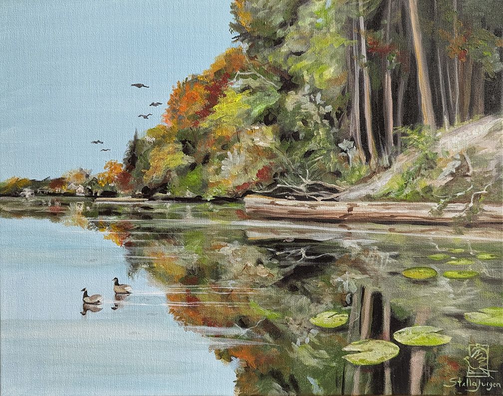 Turtle (Lake Lisgar) - 20 x 16 - Acrylic on canvas - Stella Jurgen